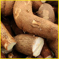Cassava