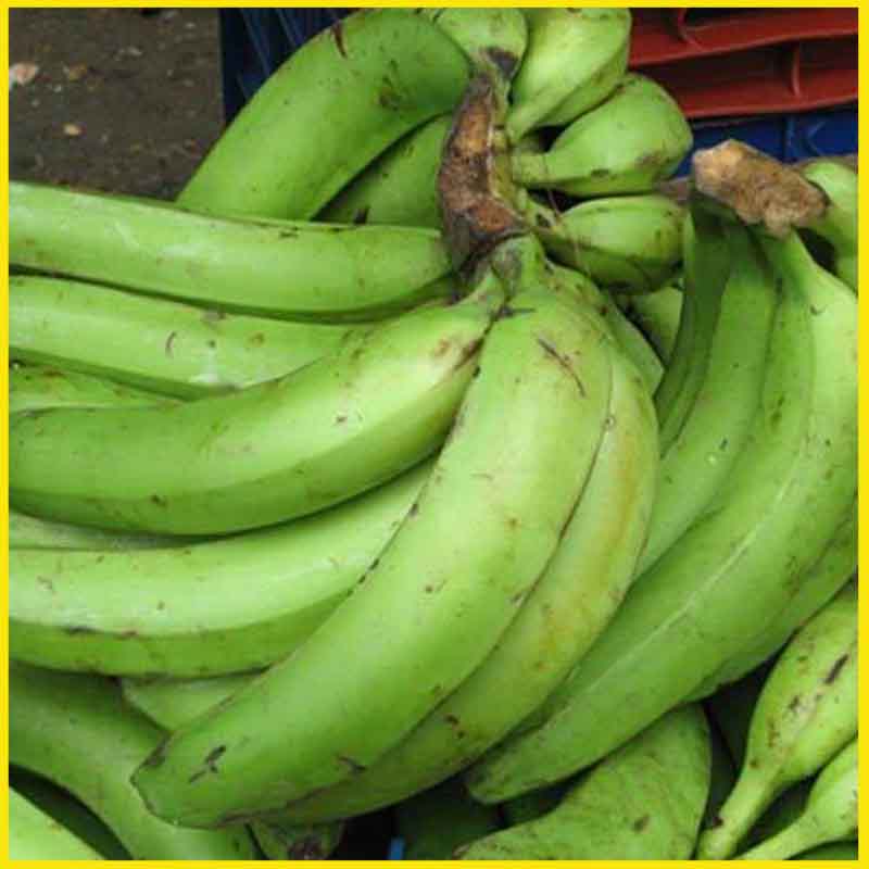 Plantain